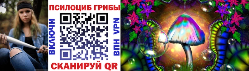 Псилоцибиновые грибы мицелий  купить наркотик  блэк спрут сайт  Донской 