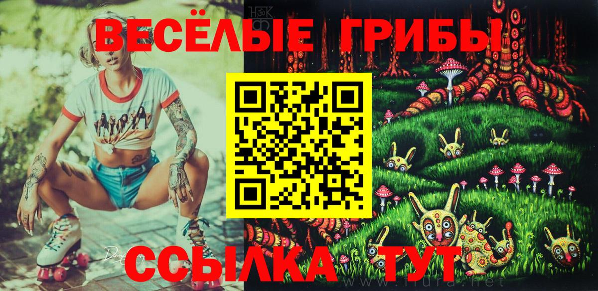 Донской  Галлюциногенные грибы мухоморы  Вход с VPN 